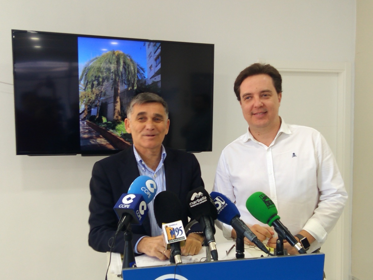 El PP alerta de una plaga incontrolada de picudo rojo y anuncia que exigirá responsabilidades al tripartito