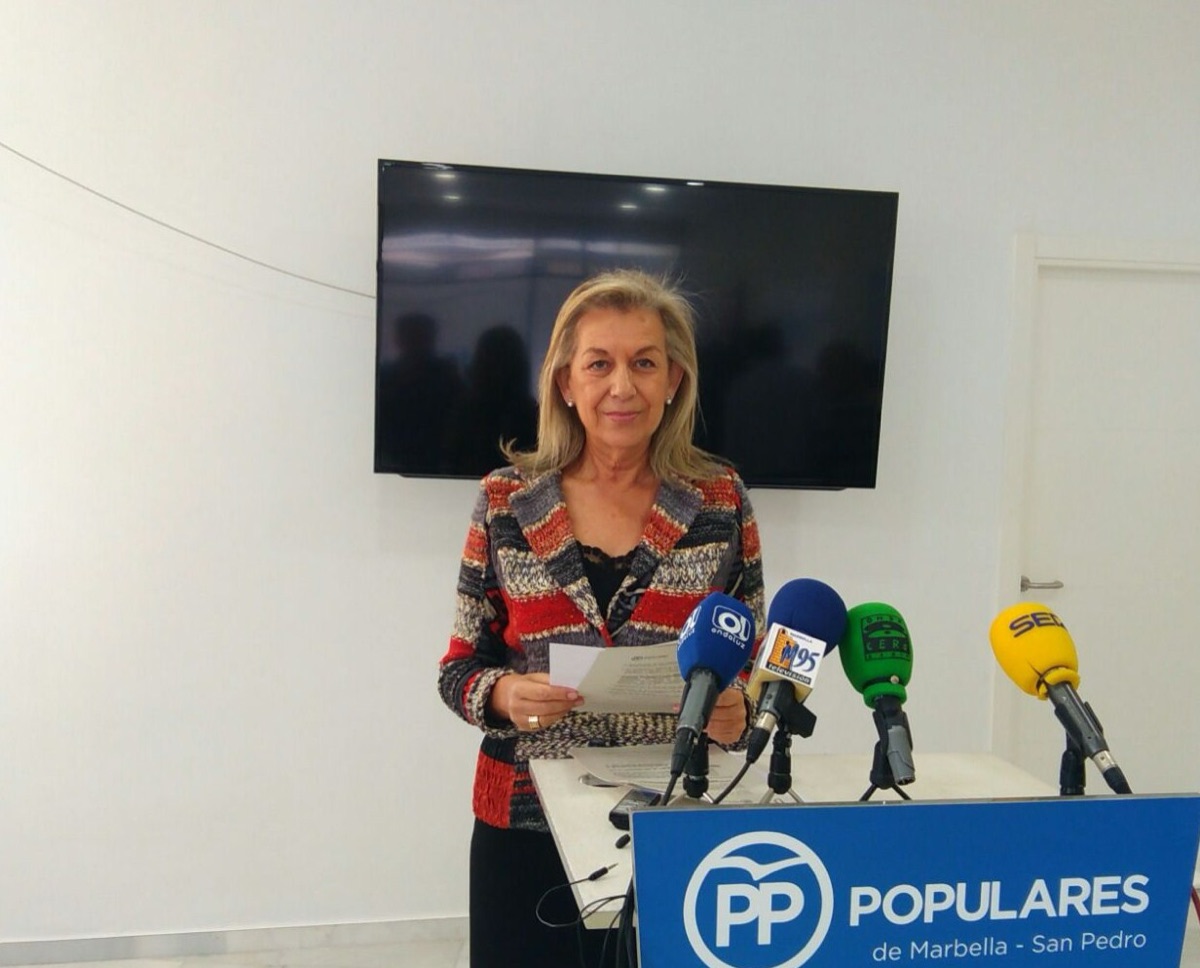 El PP alega a los presupuestos para que se incluyan partidas destinadas a mejorar el mantenimiento de la ciudad