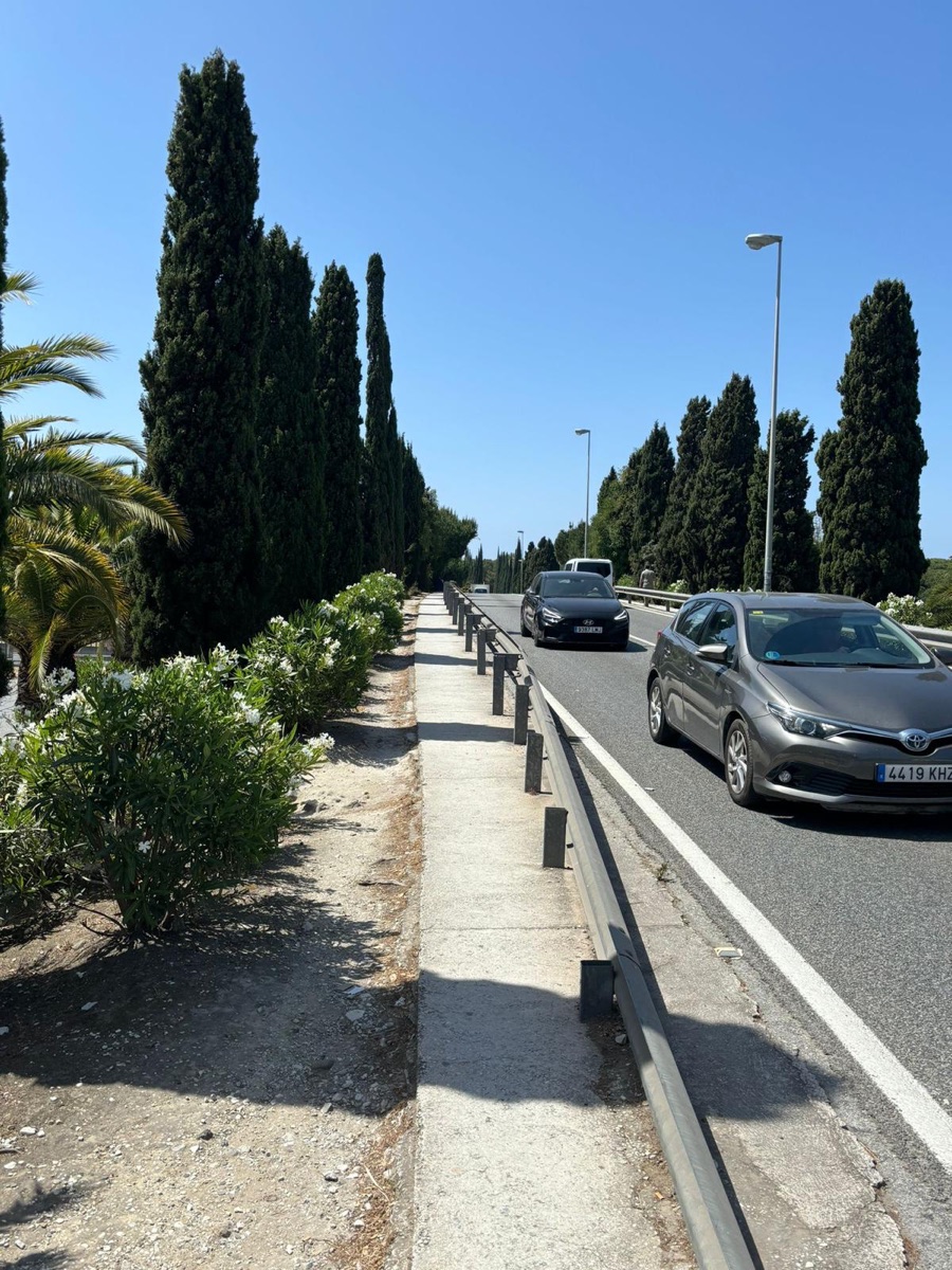 El PP pedirá al Gobierno Central un plan urgente de mejoras para la movilidad peatonal y accesibilidad en los puentes sobre la A-7
